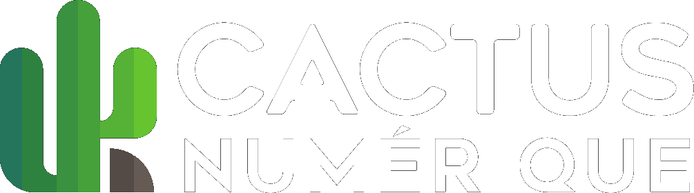 Cactus Numérique
